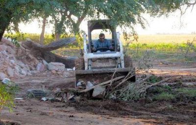 Al menos 15 detenidos tras violento desalojo a campesinos