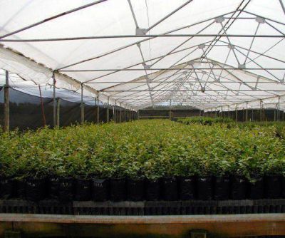 Productores de Sierra de los Padres recibieron ayuda para invern�culos