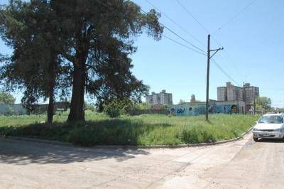 206 reclamos sobre terrenos bald�os hubo en el primer trimestre