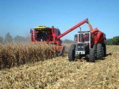 La cosecha de grano grueso inyectar� en el partido de Jun�n m�s de $ 600 millones