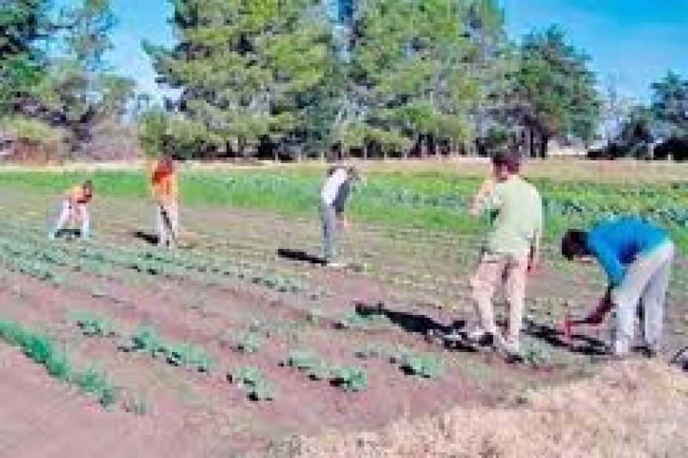 Lanzan en sesenta escuelas rurales la orientaci�n �agro y medio ambiente�