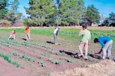 Lanzan en sesenta escuelas rurales la orientaci�n �agro y medio ambiente�