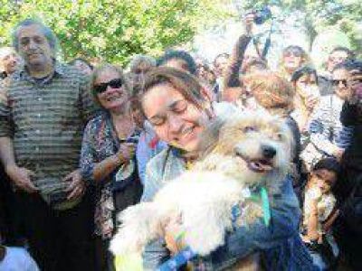 Exitoso reencuentro de due�os y sus mascotas en La Plata