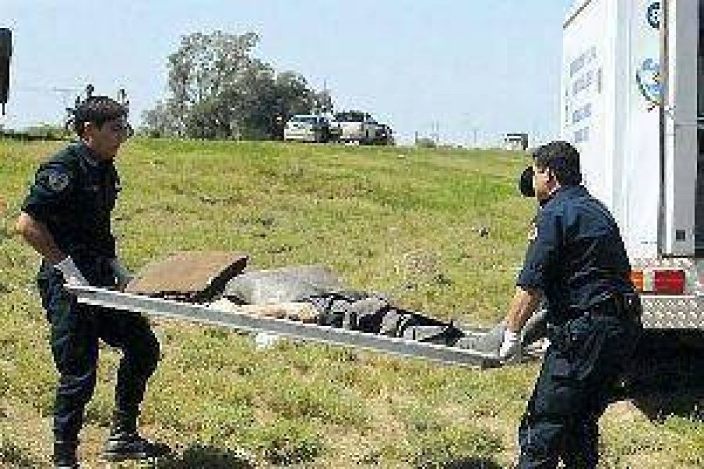 Investigan c�mo muri� un ciclista hallado a la vera de ruta provincial 4