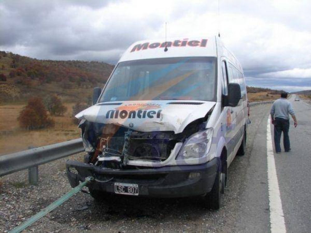 Combi de transporte de pasajeros embisti� a dos guanacos