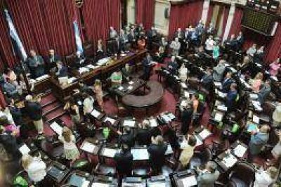 Pichetto formaliz� la invitaci�n a Verbitsky y el CELS expone en el Senado