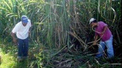 La Naci�n entregar� fondos para peque�os productores en Tucum�n