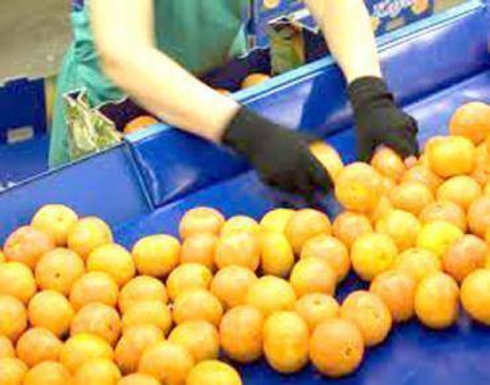 El sector citr�cola de Chajar� recibi� herramientas para mejorar la producci�n
