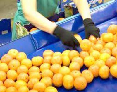 El sector citr�cola de Chajar� recibi� herramientas para mejorar la producci�n