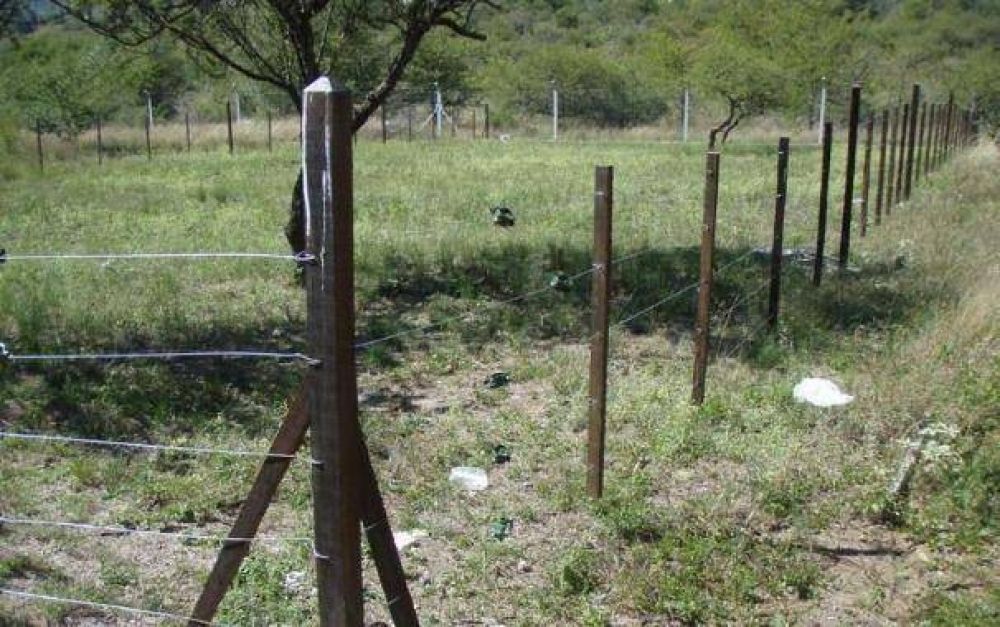 Preocupa la usurpaci�n de terrenos en Faro Norte