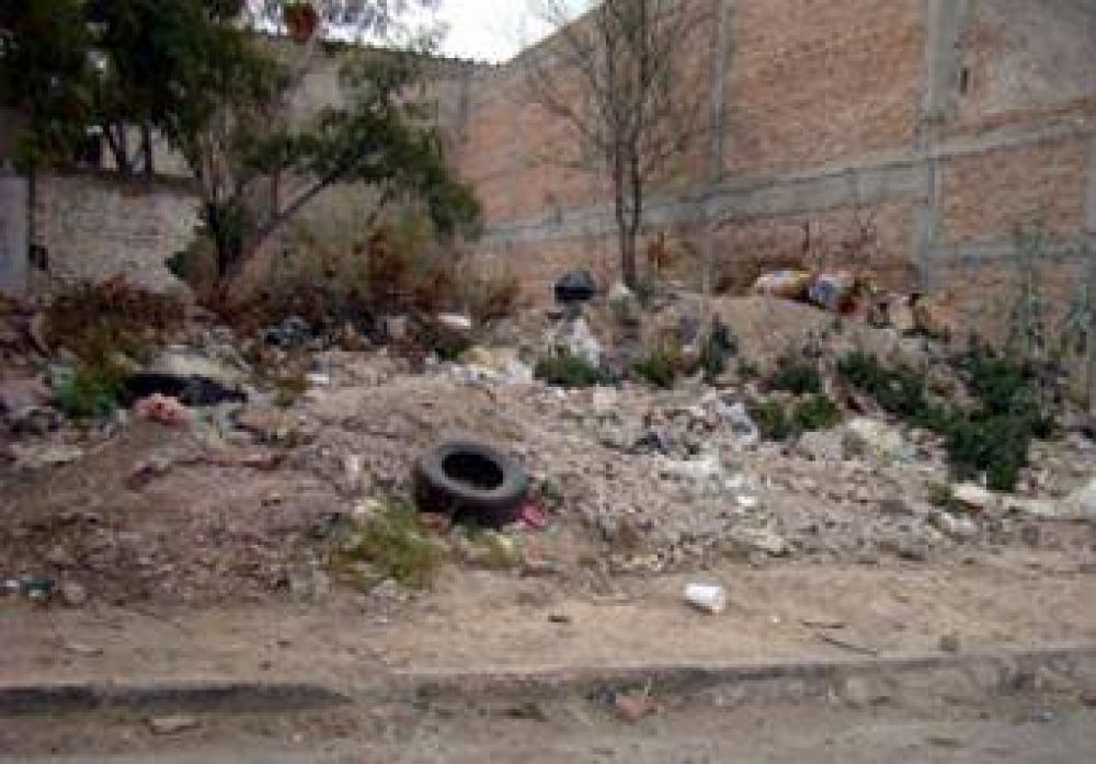 Municipio: posesi�n de terrenos bald�os