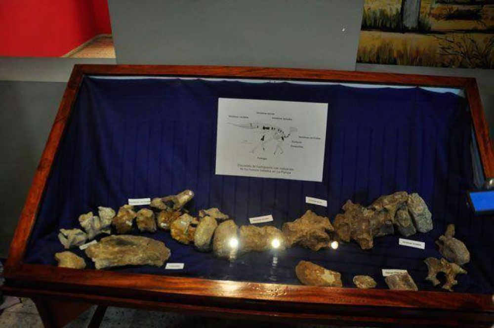 Dinosaurio pampeano ten�a 6 metros de altura