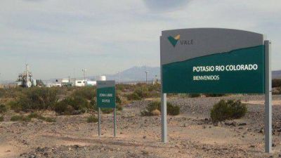 Efecto Vale: al menos 10 empresas est�n en proceso de venta