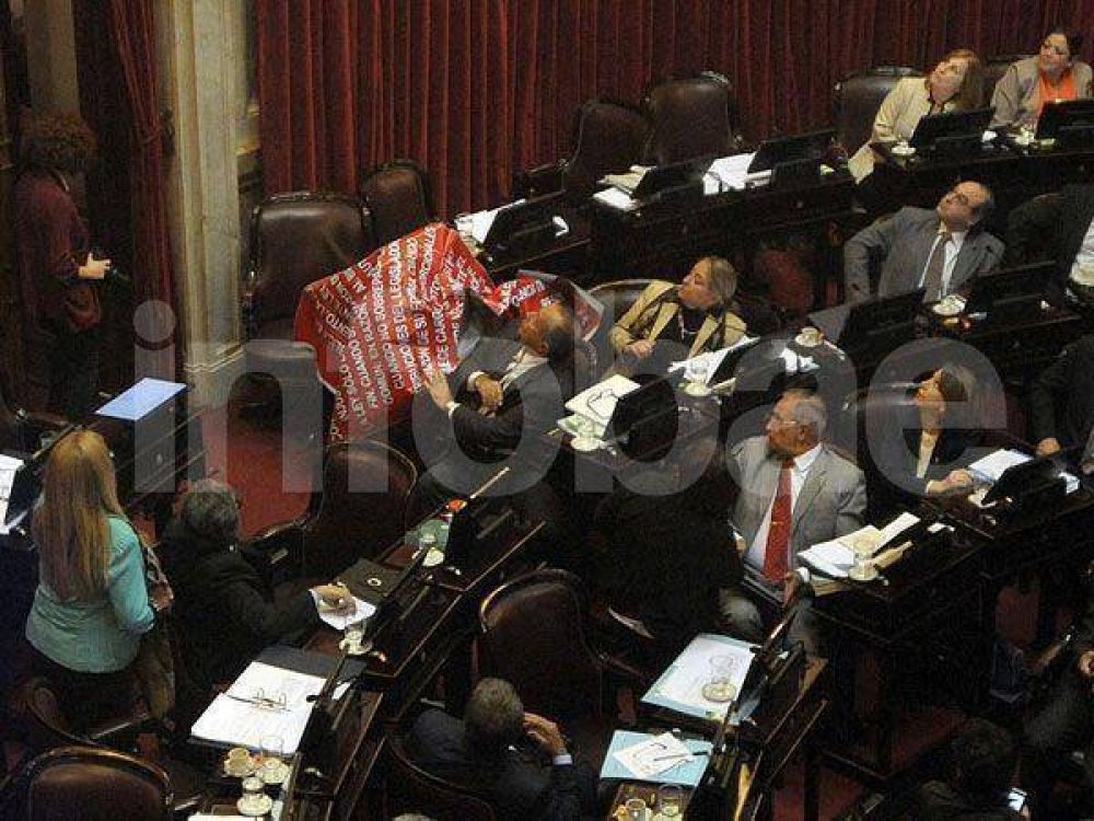 La bandera que cay� del palco y asust� al Senado