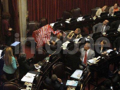 La bandera que cay� del palco y asust� al Senado