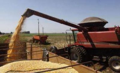El Gobierno retendr� $ 284 millones por soja