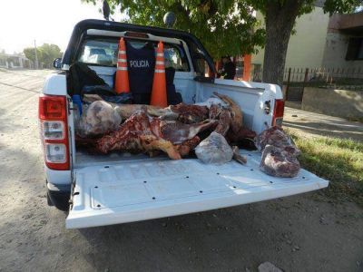Megaoperativo en General Acha