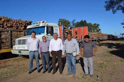Nueva carga de madera para Papel NOA lleg� a la estaci�n Perico
