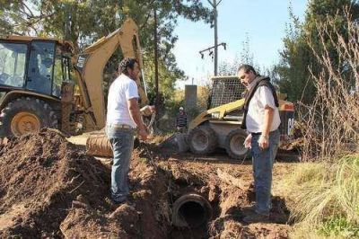 TRABAJOS EN PARQUE PINASCO