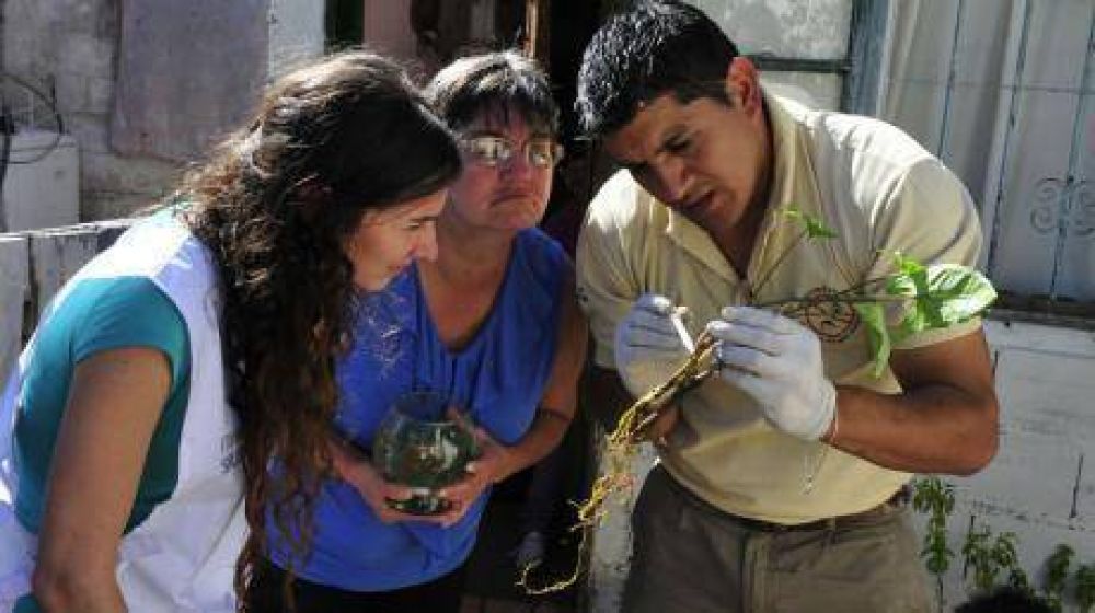 Ya suman 60 los casos de dengue