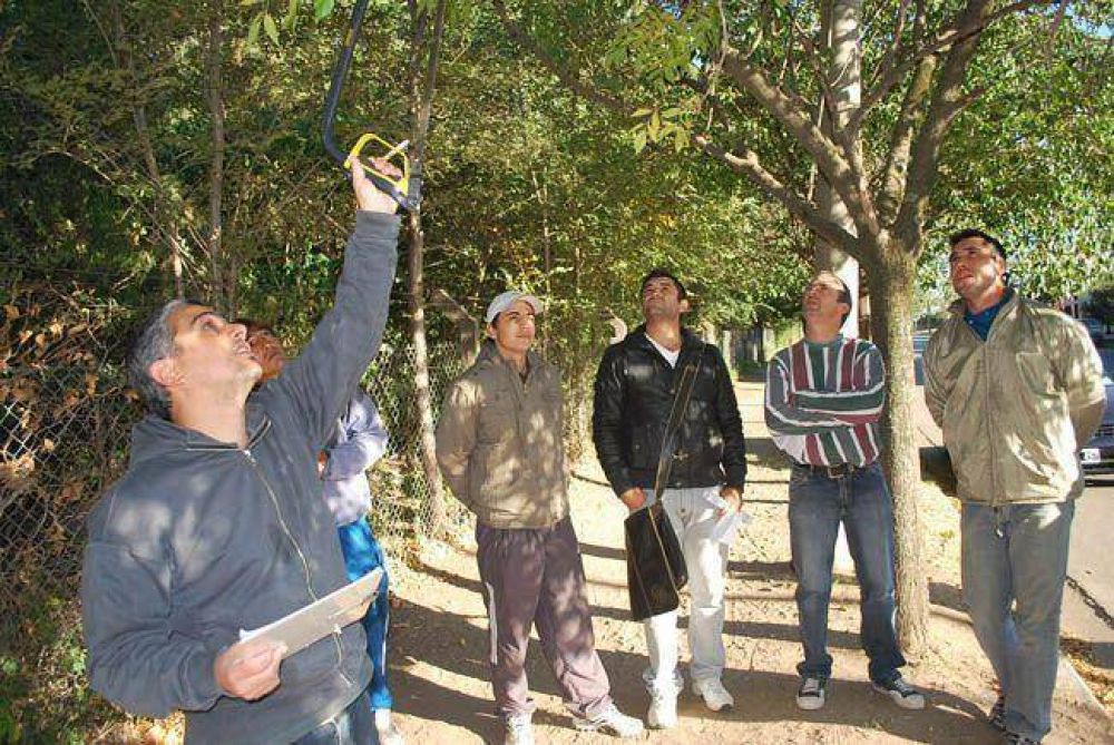 General Pico: el Municipio capacitar� a podadores