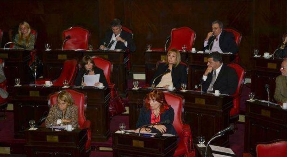 En el senado, comisiones permanentes har�n informe por la inundaci�n en La Plata
