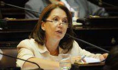 Cautelares: Para Escudero el proyecto �en vez de democratizar, reduce el acceso a la justicia�