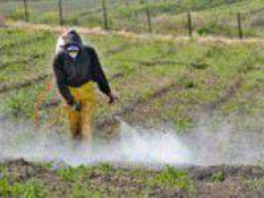 Presentaron proyecto que incluye el uso de agroqu�micos