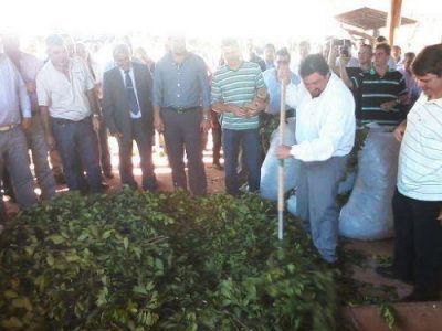 El Gobernador puso en funcionamiento los secaderos de yerba tipo barbacu� 