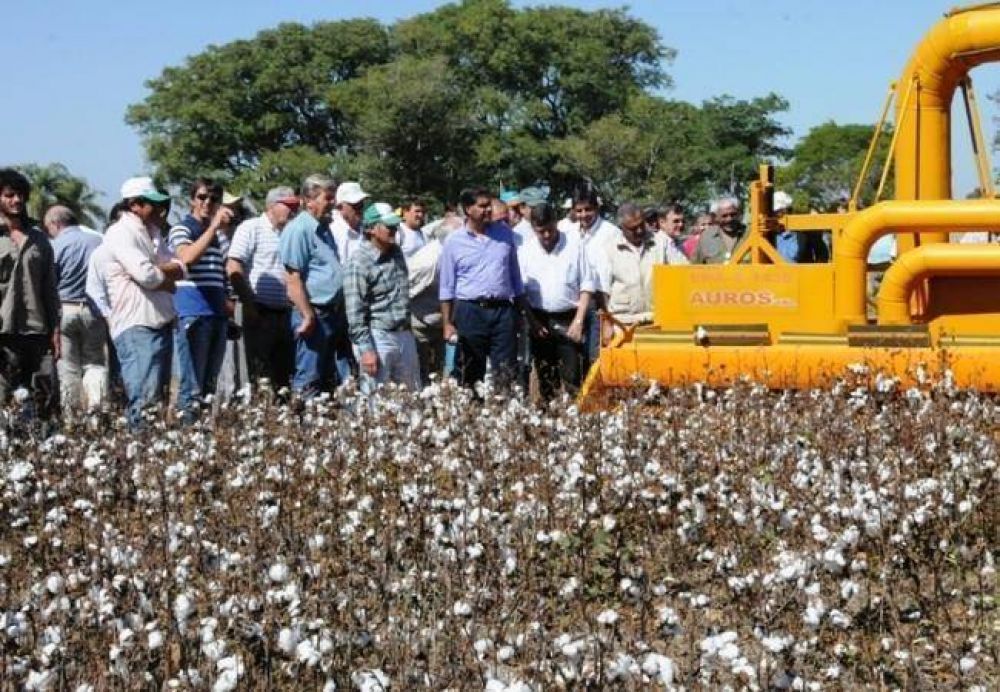 Expodin�mica 2013: Capitanich destac� al algod�n como eje fundamental para la producci�n del Chaco
