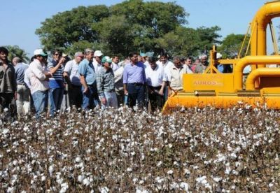 Expodin�mica 2013: Capitanich destac� al algod�n como eje fundamental para la producci�n del Chaco