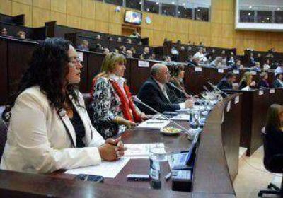 Diputados patag�nicos piden �urgente investigaci�n� de derrames petroleros 