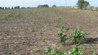 Advierten que la sequ�a en Tucum�n lleg� para quedarse