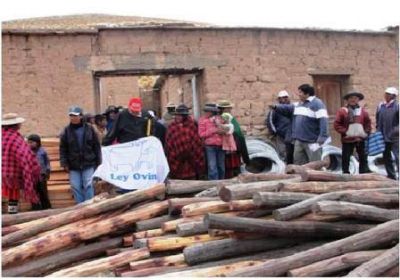  M�s de $1 mill�n para peque�os productores caprinos y ovinos de Salta