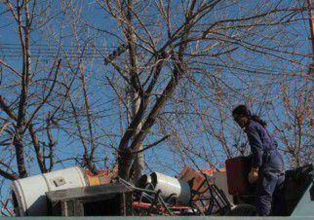 Recolectaron 11 camiones de chatarra en la zona norte 