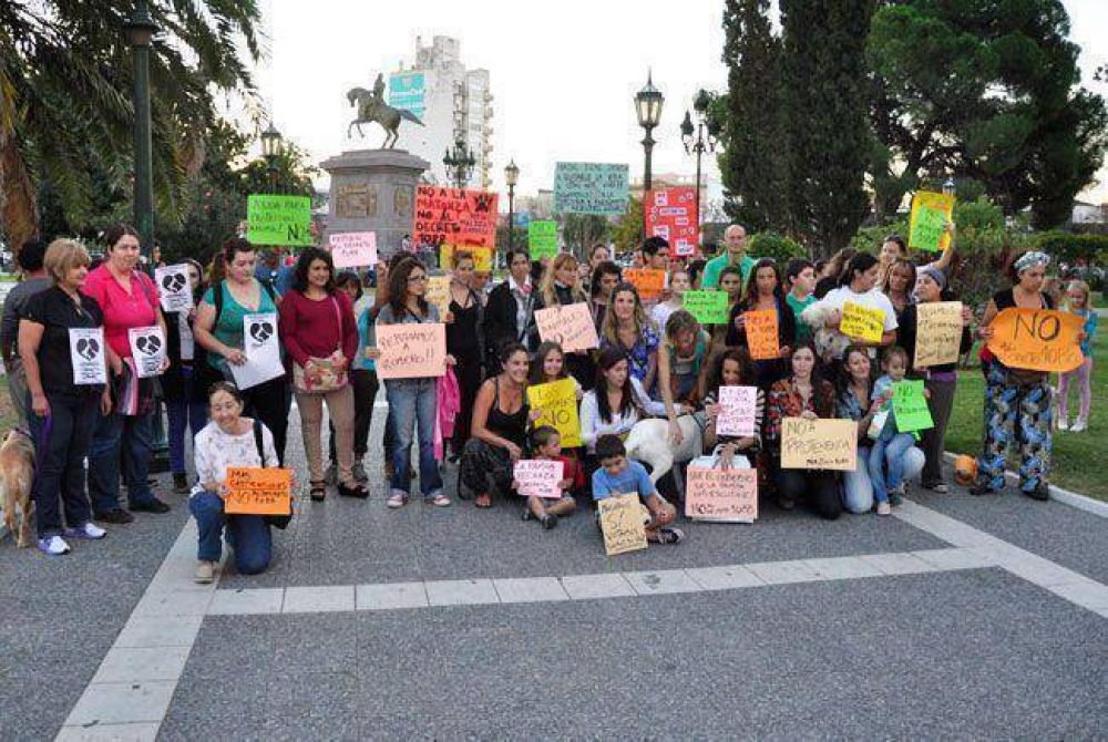 Organizaciones rechazan un proyecto de tenencia responsable de animales