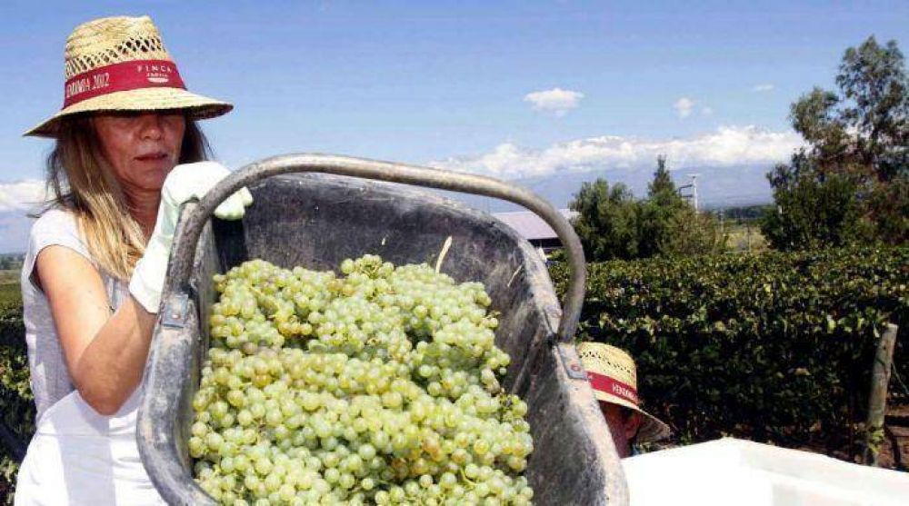 U$S 5 millones para una bodega boutique