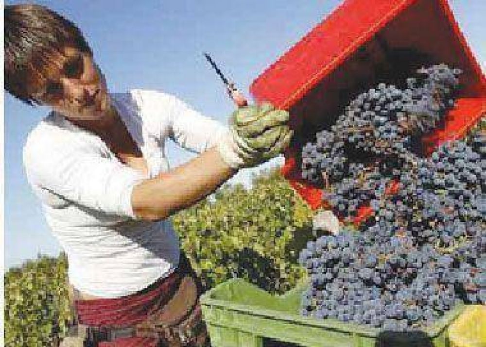 Aguardan los cr�ditos para cubrir los costos de la cosecha