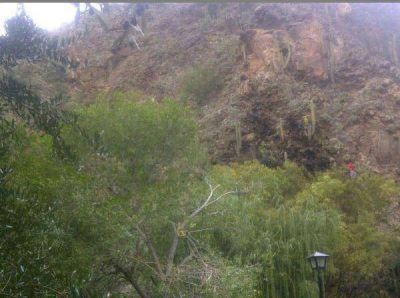 Incendio forestal en Ruta 75 fue sofocado