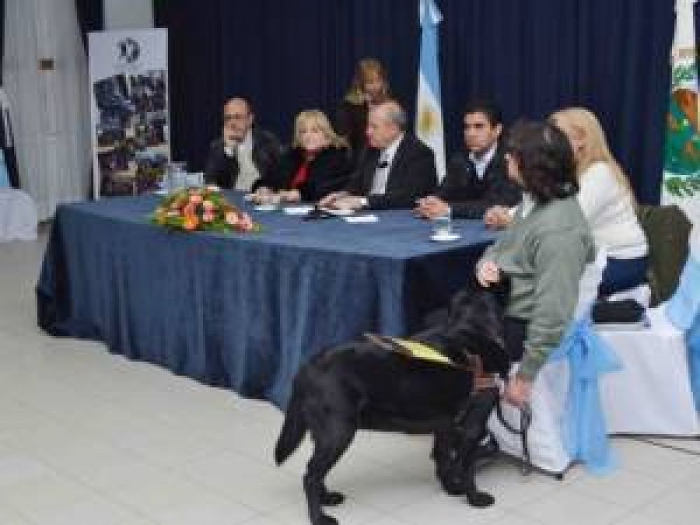 Villa Mercedes: los perros gu�a podr�n entrar a sitios p�blicos y privados