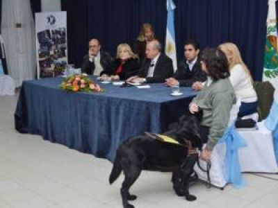 Villa Mercedes: los perros gu�a podr�n entrar a sitios p�blicos y privados