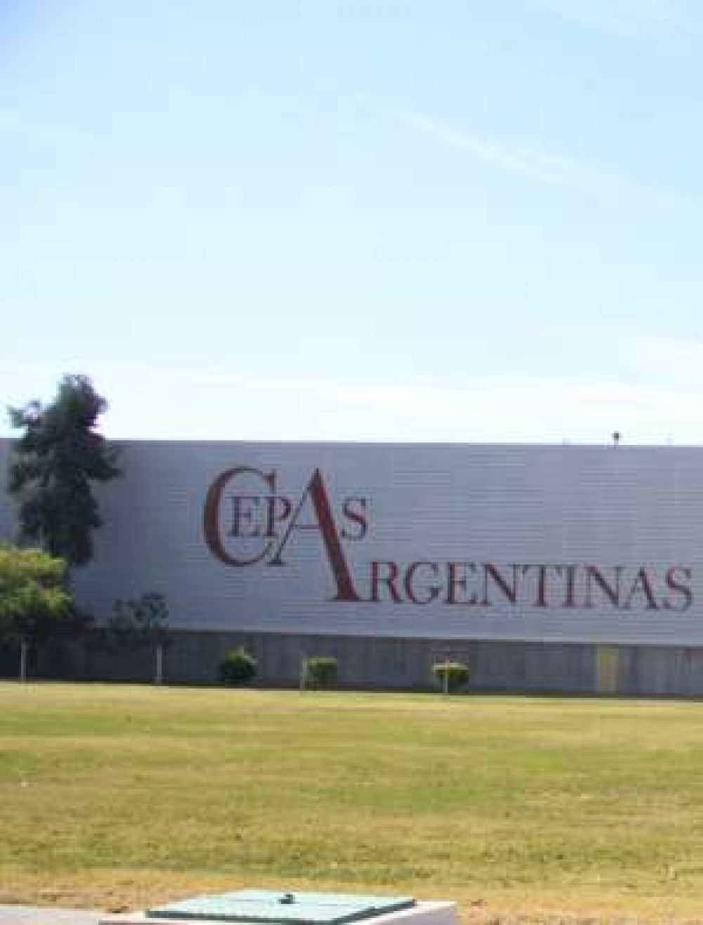 Un complejo para megaeventos y un hotel en el predio de ex Cepas