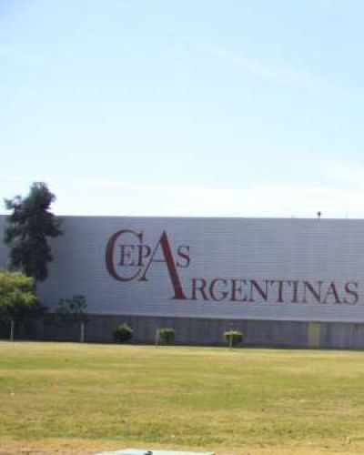 Un complejo para megaeventos y un hotel en el predio de ex Cepas
