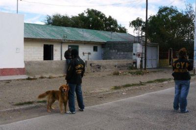 Allanamientos en relaci�n al robo y brutal golpiza de un anciano