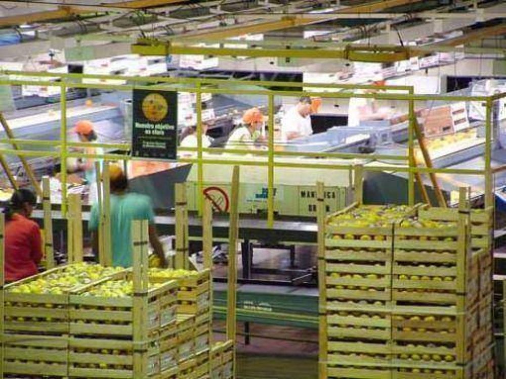 Reconvertir�n 800 hect�reas de c�tricos para abastecer a Danone
