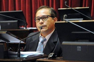�No soy representante del Colegio de Abogados en el Senado, soy representante de Tierra del Fuego�