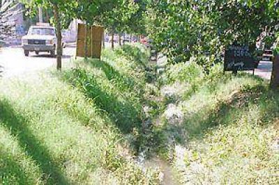 Piden a los vecinos que no arrojen basura