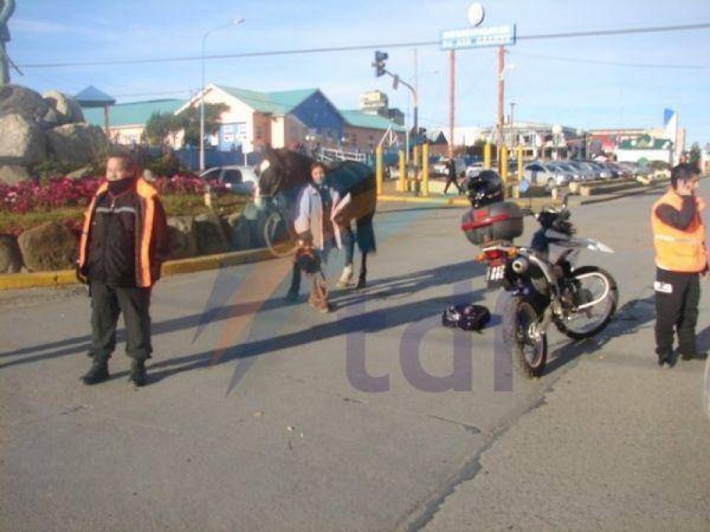 Mujer protest� con un caballo cortando elt tr�nsito en pleno centro