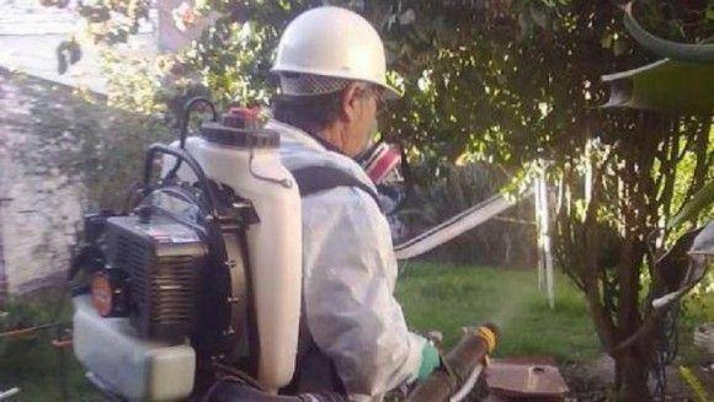 Confirman tres casos de dengue en Tucum�n y afirman que es alto el riesgo de ingreso del virus