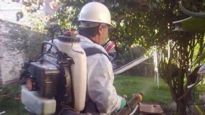 Confirman tres casos de dengue en Tucum�n y afirman que es alto el riesgo de ingreso del virus